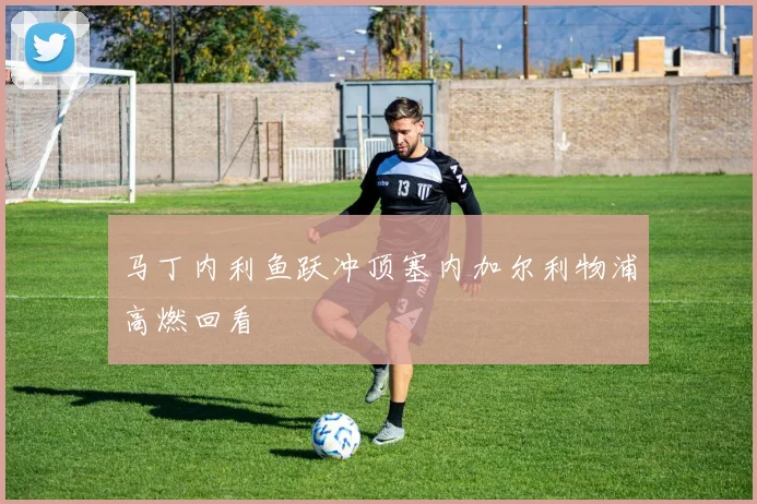 马丁内利鱼跃冲顶塞内加尔利物浦高燃回看