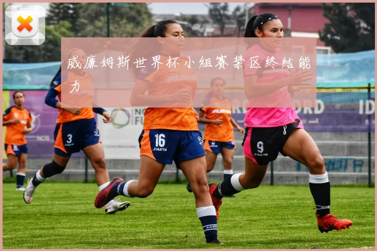 威廉姆斯世界杯小组赛禁区终结能力