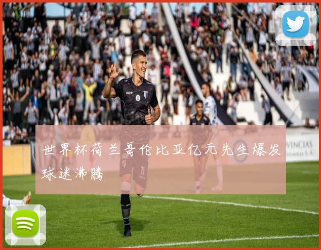 世界杯荷兰哥伦比亚亿元先生爆发球迷沸腾
