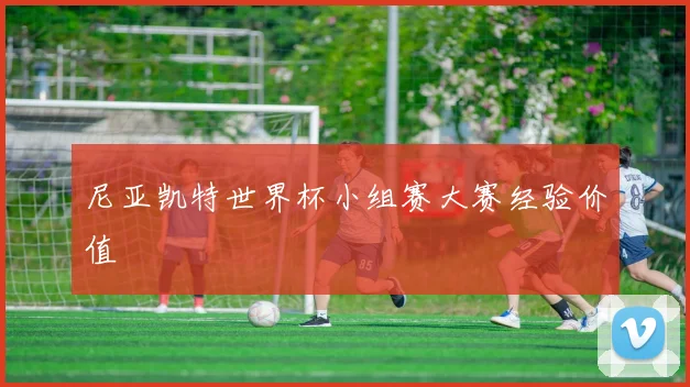 尼亚凯特世界杯小组赛大赛经验价值