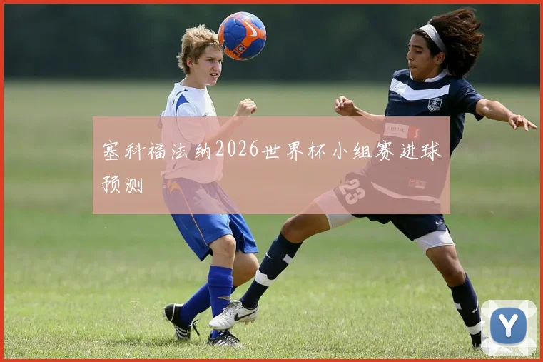 塞科福法纳2026世界杯小组赛进球预测